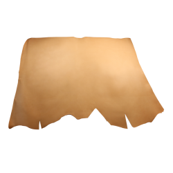 波隆那帶皮 本色 D/B 3.5/4.0mm