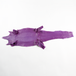 腹紋亮彩背剖鱷魚皮 紫 11"(+-0.5")
