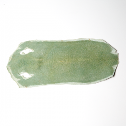 進口寶石魚皮 10'' 大